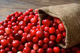 Thoát ám ảnh nhiễm trùng đường tiết niệu cực đơn giản