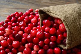 Thoát ám ảnh nhiễm trùng đường tiết niệu cực đơn giản