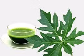 Bài thuốc quý từ dân gian cho người bị ung thư dạ dày