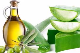 Đẩy lùi lão hóa da, xóa nếp nhăn với tinh dầu ô liu 