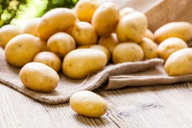 Thuốc ngủ từ thiên nhiên cho đêm không trằn trọc