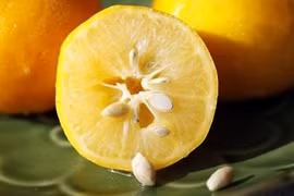 Đồ uống bổ dưỡng cực tốt cho sức khỏe từ thực phẩm bỏ đi