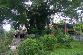 Đền “vua quan giải hạn” trong Trung tâm hội nghị quốc gia