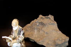 Sống vui trong mọi hoàn cảnh