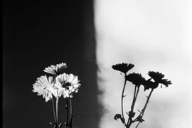 Điều phục vọng tưởng