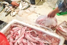 Lo ngại cá khoai ướp chất cấm