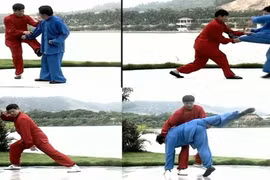 Giải mã kỹ pháp tinh vi của Trường quyền (3)