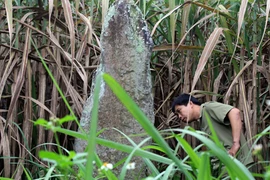 Chuyện lạ VN: Mộ đá chứa 12 bông hoa bằng vàng 