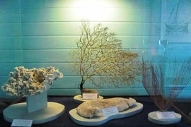 Thăm nơi lưu trữ khổng lồ bằng chứng Hoàng Sa, Trường Sa