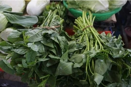 Rau xanh tăng giá chóng mặt sau trận mưa lịch sử ở Đà Nẵng