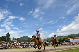 Sau ánh hào quang, kỵ sĩ tranh nhau... bốc bác