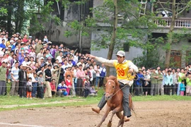 Đua ngựa cưới vợ xinh ở Bắc Hà