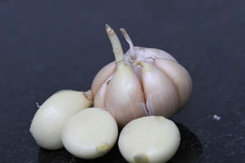 Hành, tỏi mọc mầm có độc không?