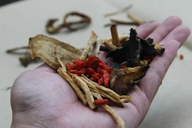 Sinh mạch tán chữa bệnh tim