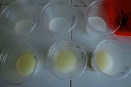 Chế phẩm sinh học trừ sâu hại rau màu 