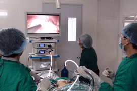 Tự ý cắt thận bệnh nhân là sai