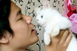 Ký sinh trùng chu du dưới da, gây áp xe, xuất huyết não