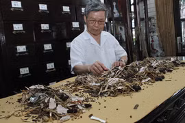 Chữa các chứng vô sinh nữ bằng thuốc Đông y