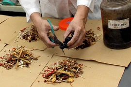 Bài thuốc cổ trị thiếu máu