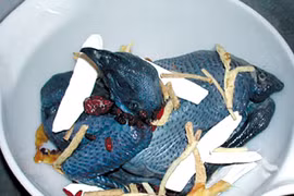 Gà ác bổ dưỡng cho người bệnh