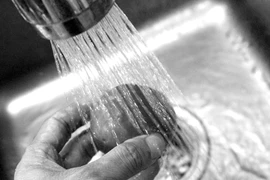 Rau quả nhũn ra vì rửa trước khi cất tủ lạnh