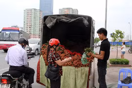 Xót xa vải rẻ như rau