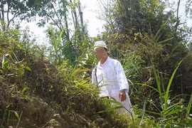 Bác sĩ cứ tiêm là bệnh nhân... chết