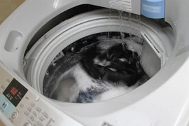 Tại sao máy giặt rung lắc sau khi vận chuyển?