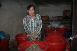 Lão nông bốc thuốc cứu người