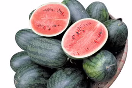 Dưa hấu hỗ trợ trị bệnh mùa hè