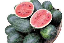 Dưa hấu hỗ trợ trị bệnh mùa hè