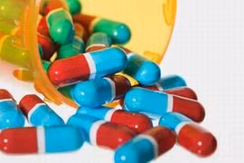 Dùng con mối làm... kháng sinh chữa bệnh?