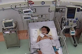 Nguy kịch vì bị rắn cạp nia chui vào nhà cắn