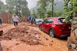 PGS.TS Bùi Thị An: Vi phạm đất rừng Sóc Sơn do xử lý chưa nghiêm