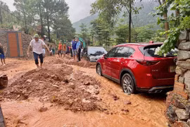 PGS.TS Bùi Thị An: Vi phạm đất rừng Sóc Sơn do xử lý chưa nghiêm