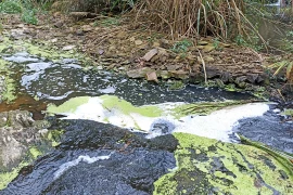 Thanh Hóa: Nước suối đen kịt khiến cá chết bất thường