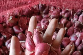  Hành tím tăng giá gấp đôi