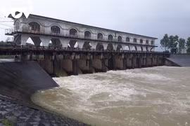 Đà Nẵng nguy cơ thiếu nước sinh hoạt vì xâm nhập mặn