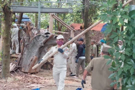 Cưỡng chế nhà hàng, quán nhậu xây dựng trái phép trên bán đảo Sơn Trà