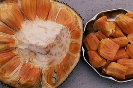 Mít ruột đỏ 40.000 đồng/kg