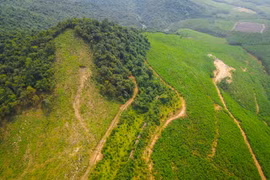 Khám phá lũy đá cổ Kỳ Anh