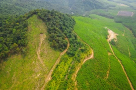 Khám phá lũy đá cổ Kỳ Anh