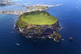 26 người Việt “biến mất” ở đảo Jeju đã về nước