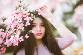 Nữ sinh trường Luật và nhan sắc đầy vẻ mộng mị 