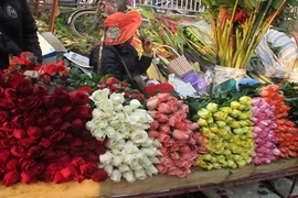Trùng Tết, hoa hồng Valentine khan hiếm, giá tăng chóng mặt