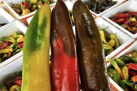 Ớt “khổng lồ” có hương vị ngọt ngào như trái cây hơn 100 nghìn/kg