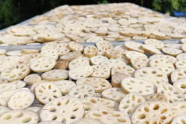 Loại củ “dầm bùn vẫn thơm” nay thành trà đặc sản 400.000 đồng/kg