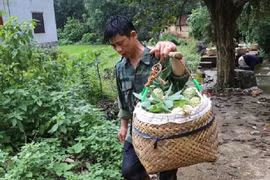 “Na bay” xuống núi bằng... cáp treo, bà con đút túi gần 800 tỷ 