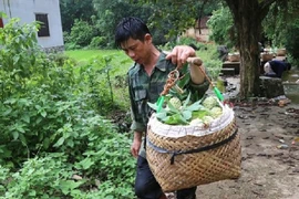 “Na bay” xuống núi bằng... cáp treo, bà con đút túi gần 800 tỷ 
