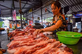 Giá lợn hơi tăng nóng, “ông lớn” ngành chăn nuôi lãi đậm